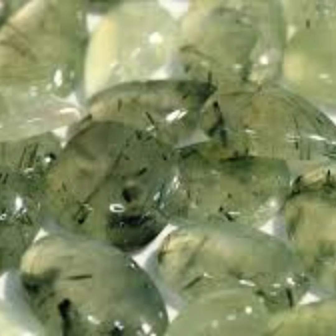 Prehnite